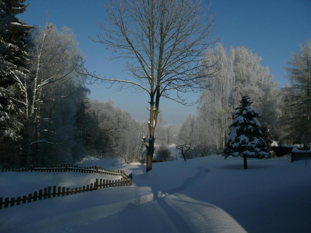 Landhaus Am Forst บาดอเล็กซานเดอร์สบาด ภายนอก รูปภาพ